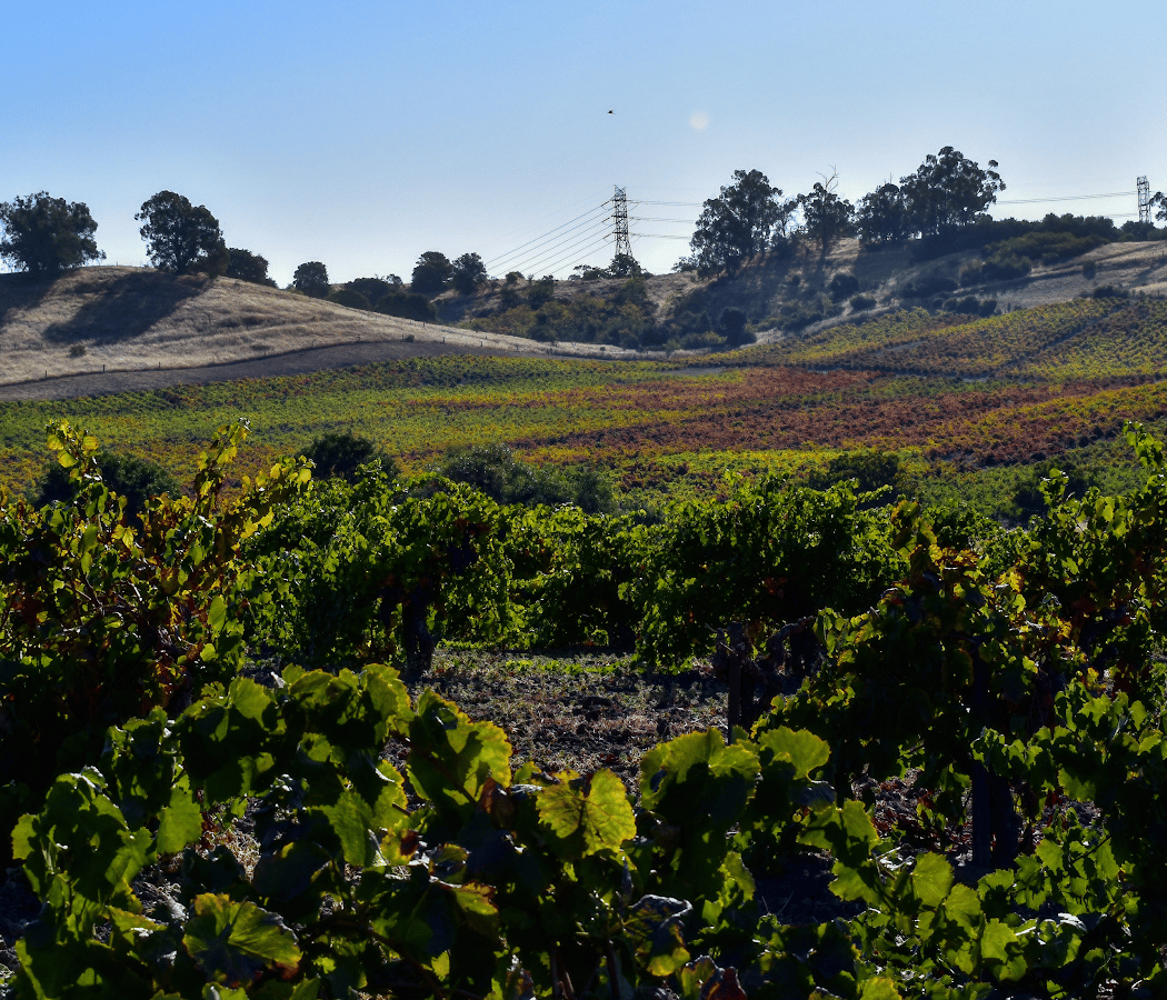 Contra Costa Wine Growers Trolley Event 2