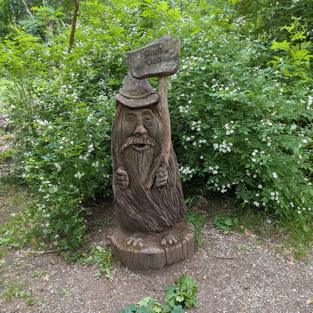 Walderlebniszentrum Grünwald 3