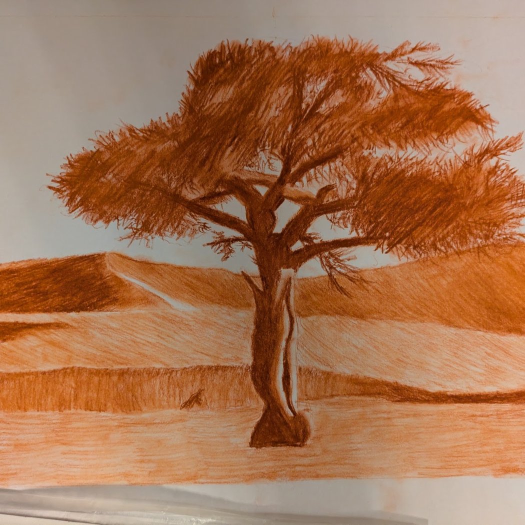 Stage de dessin 2
