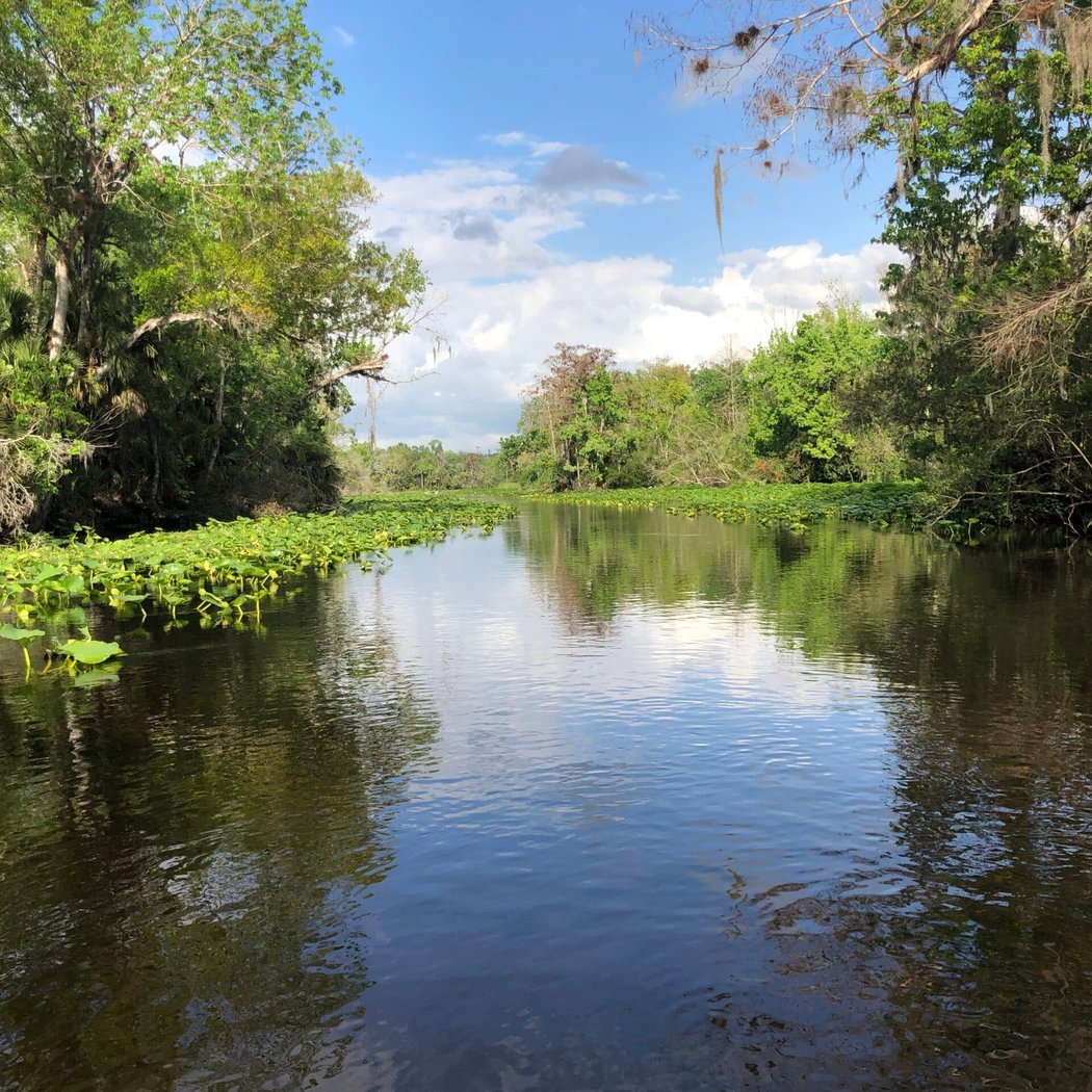 Wekiva Island 3