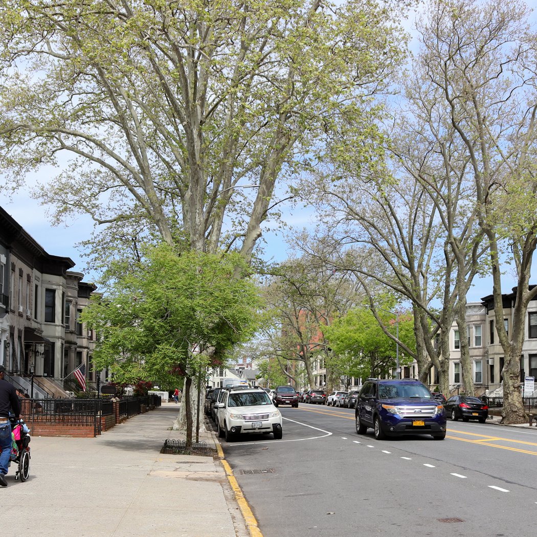 Doctors’ Row Historic District 3
