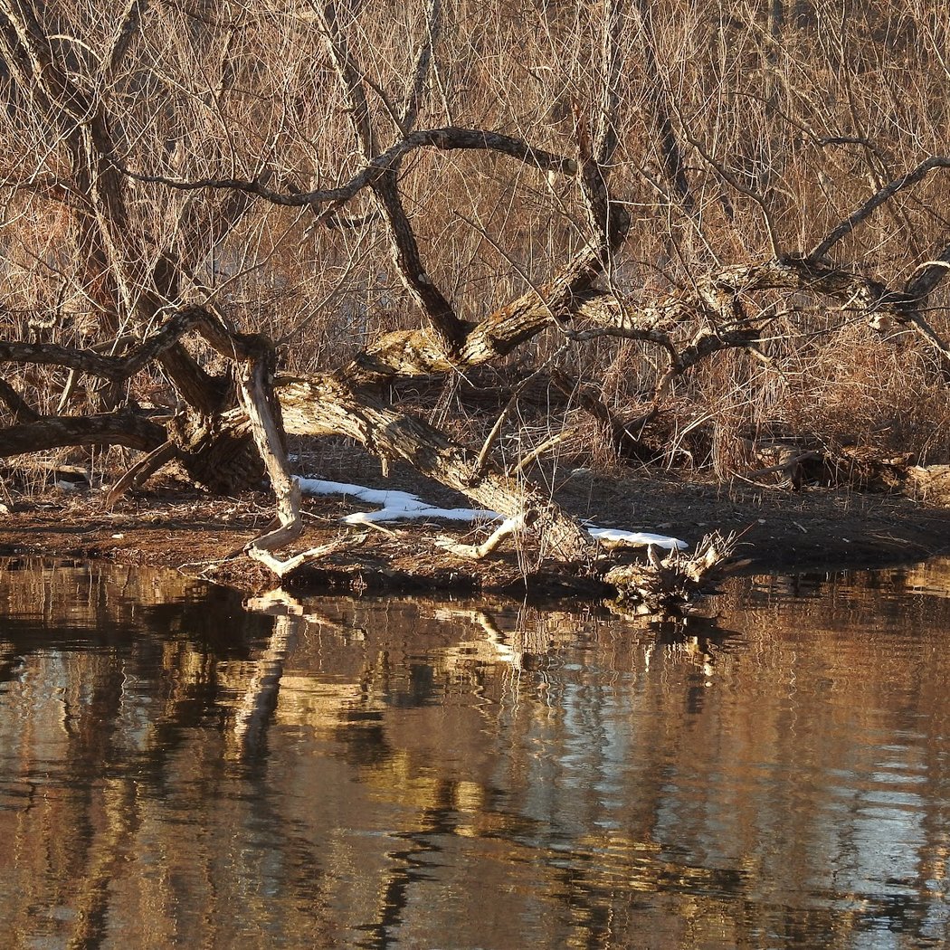 Fisherman's Park 2