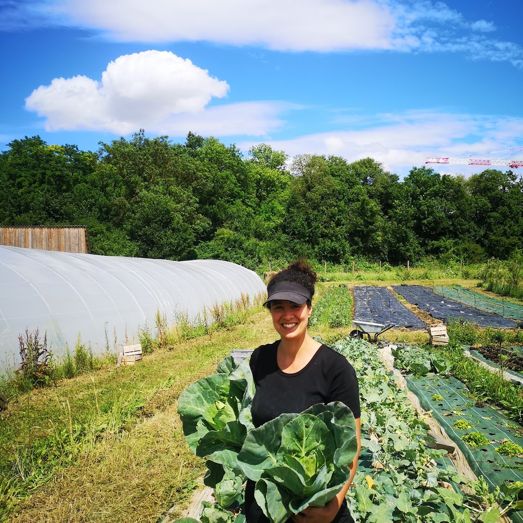 Sauvages et Cultivées 1
