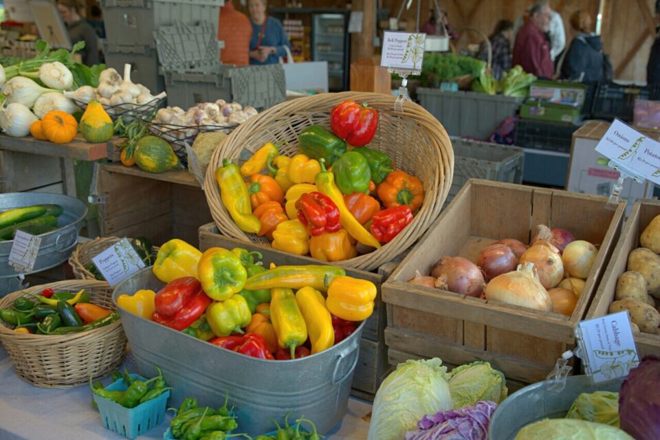 Nouveau marché de Coupvray 1