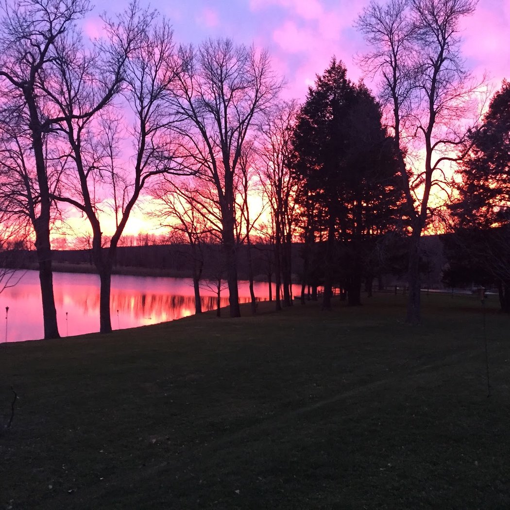 Mashomack Fish & Game Preserve 1