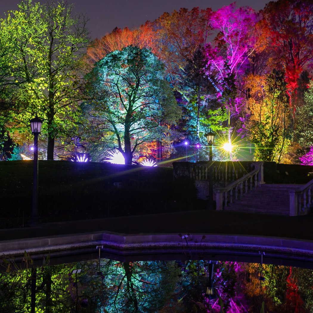Lightscape 21+ Nights 1