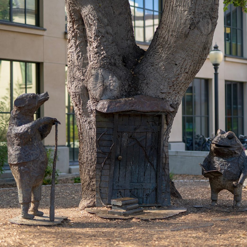 Friends of the Mountain View Library 1