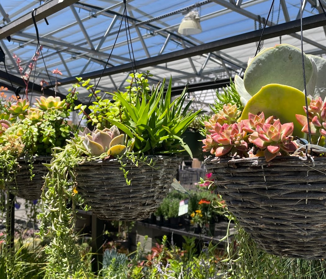 Lowe's Garden Center 1