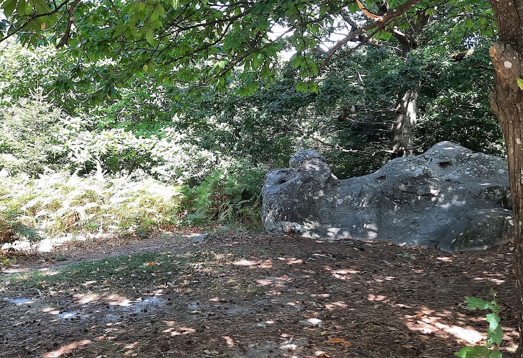 Les Vaux de Cernay 4