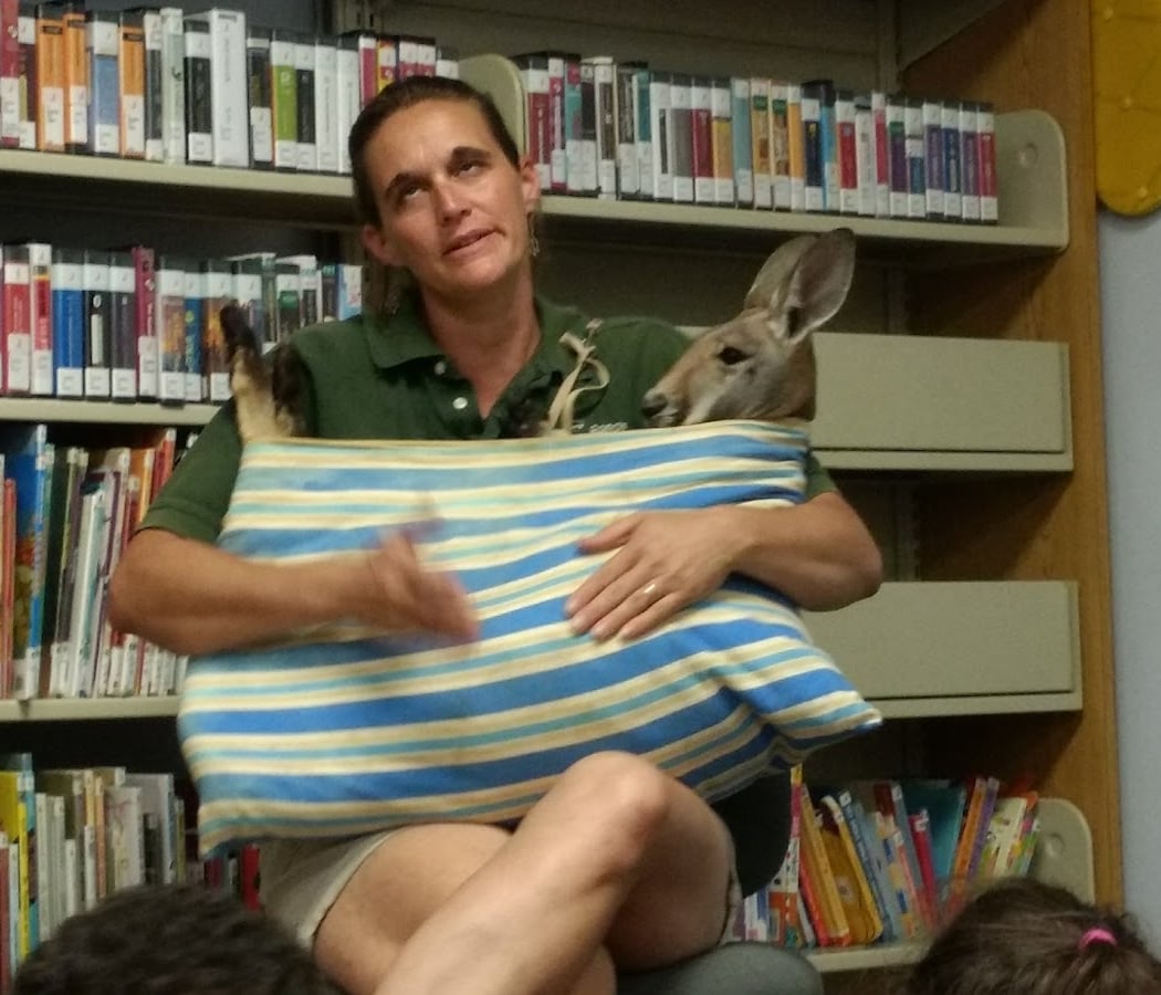 Lake Ridge Library 1