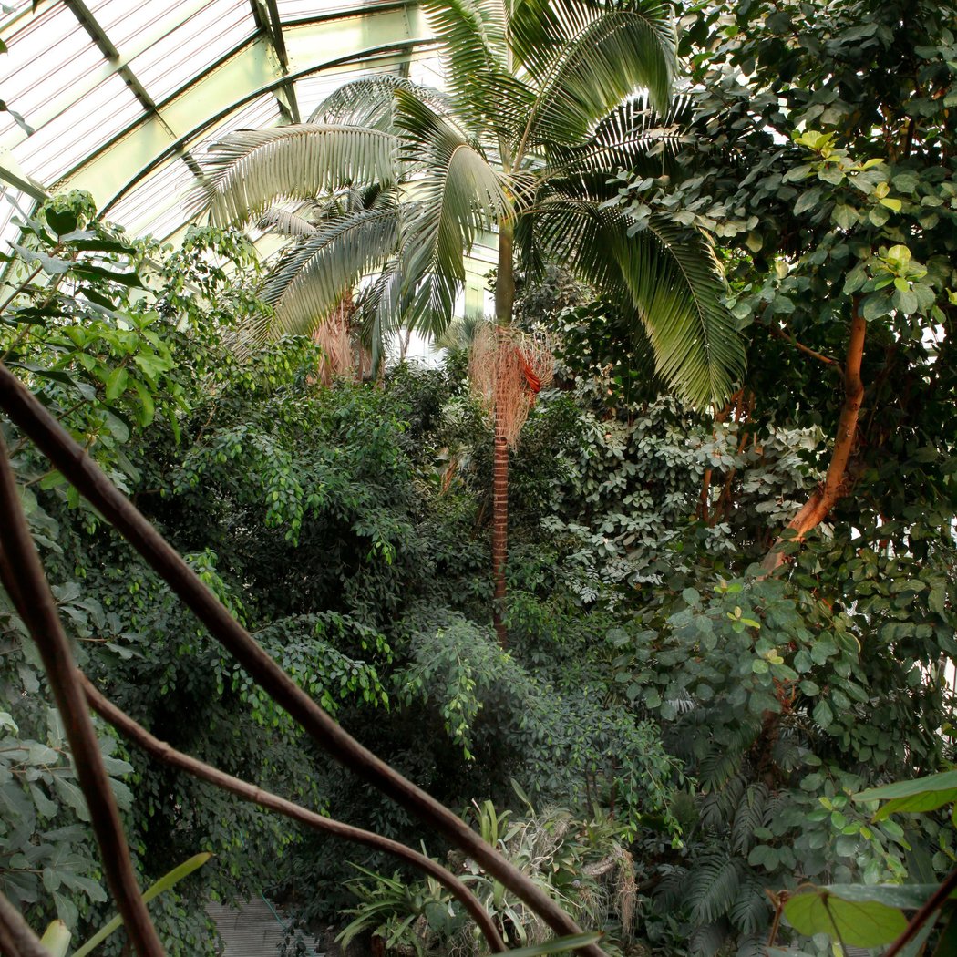 Explorez les serres d'agronomie tropicale