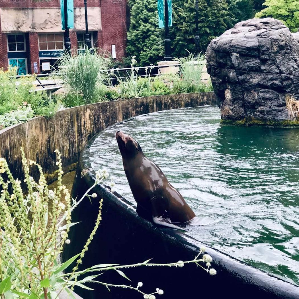 Prospect Park Zoo 2