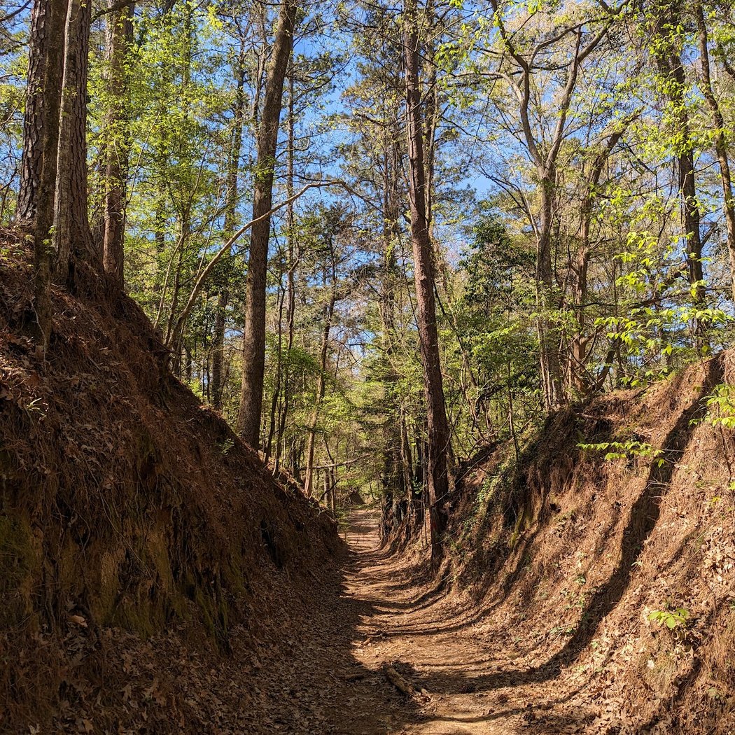 Tunica Hills WMA 1
