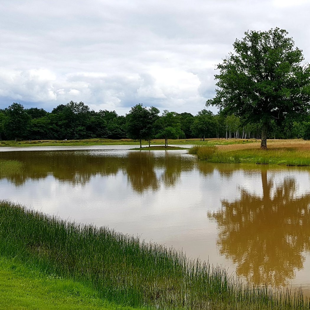 Golf Aisses 3