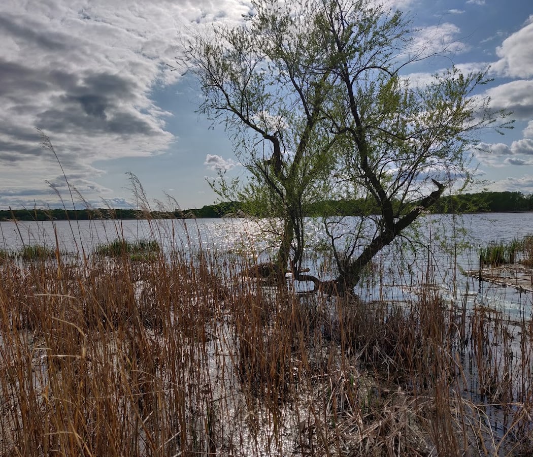 Wargo Nature Center 1