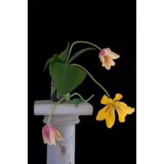 On a Pedestal 3