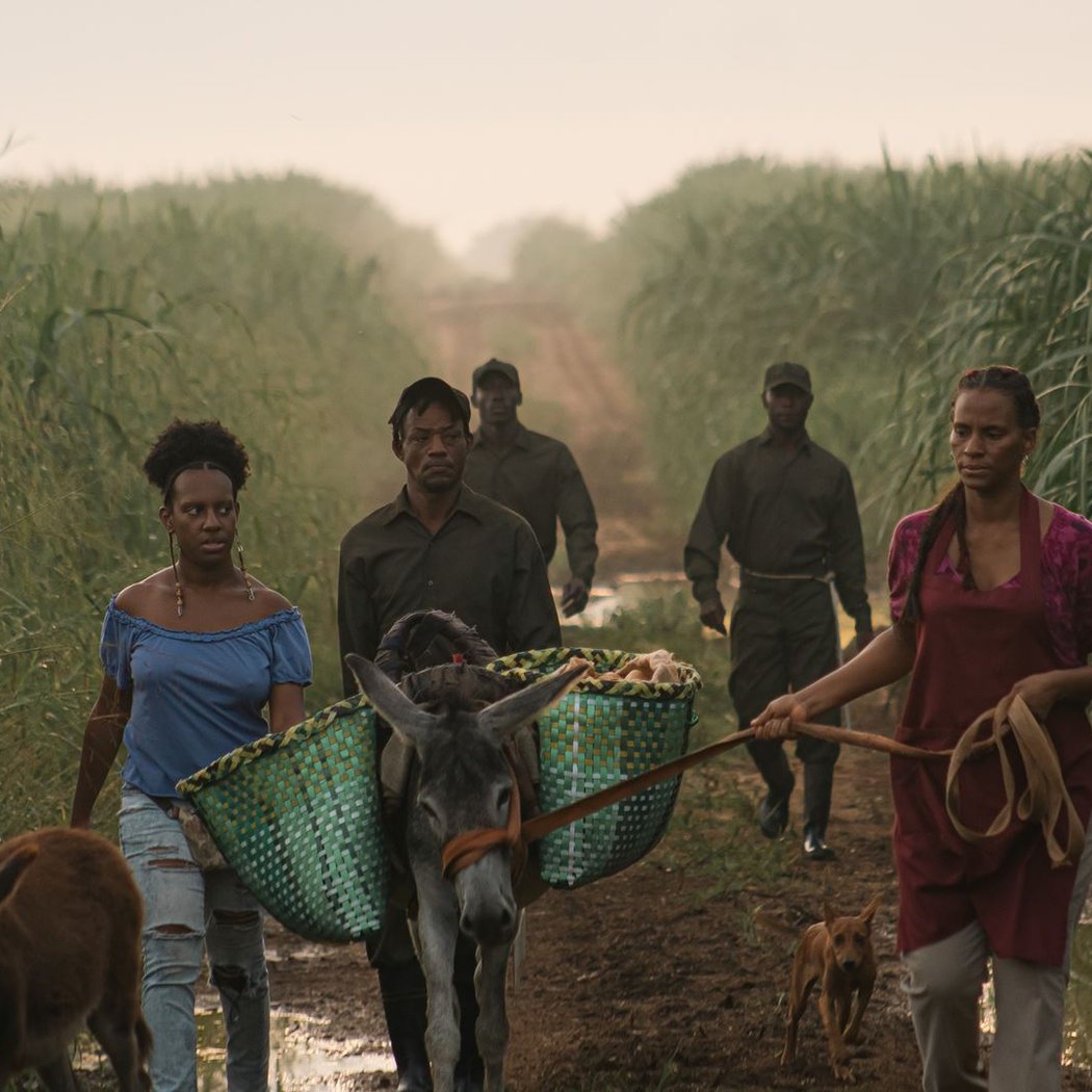 Caribbean Film Series 1