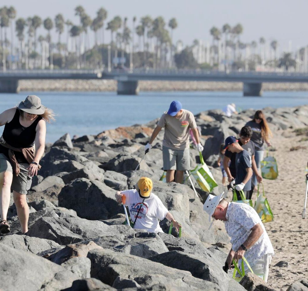 Seal Beach Cleanup 1