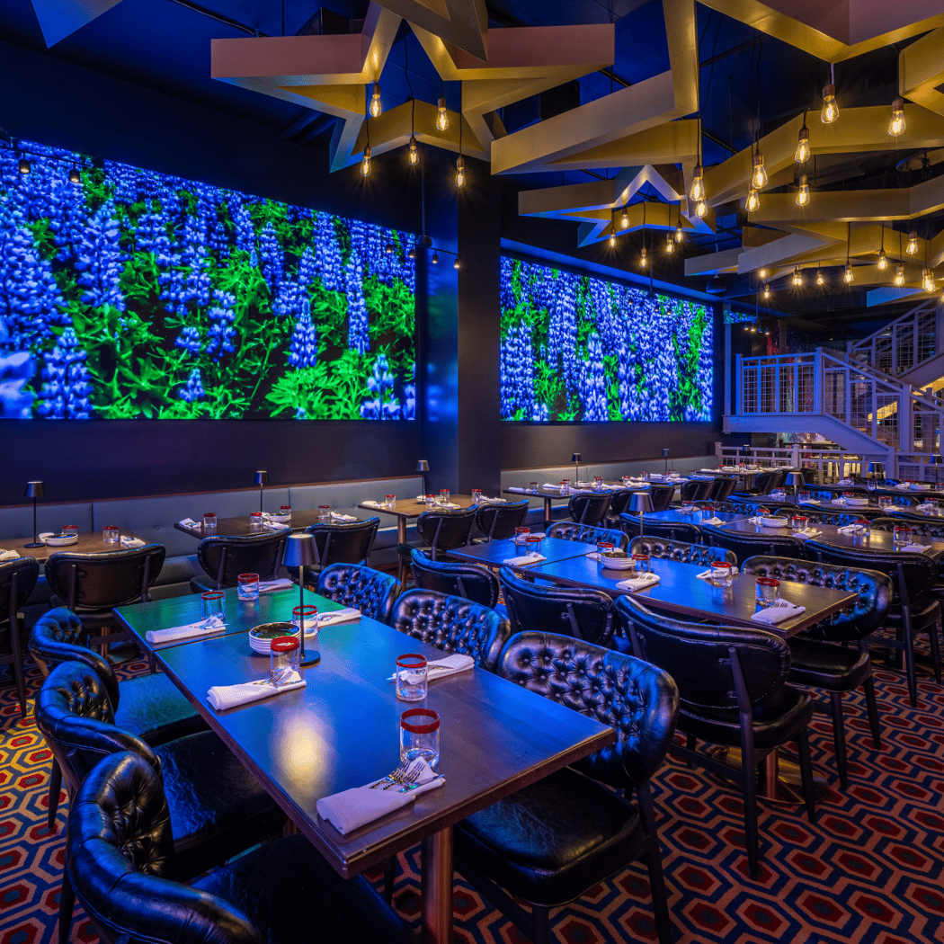 Planet Hollywood 1