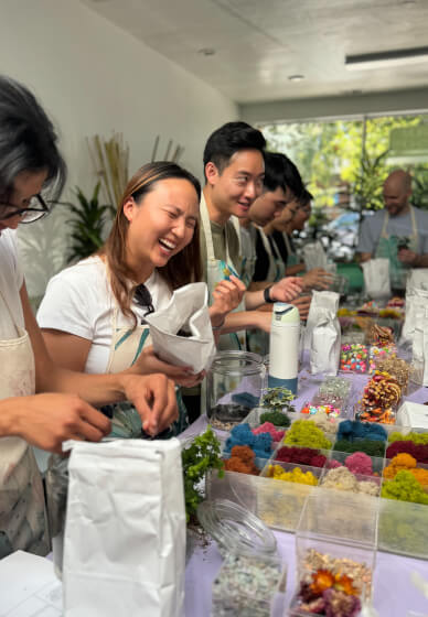 Closed Eco-System Terrarium Class 2