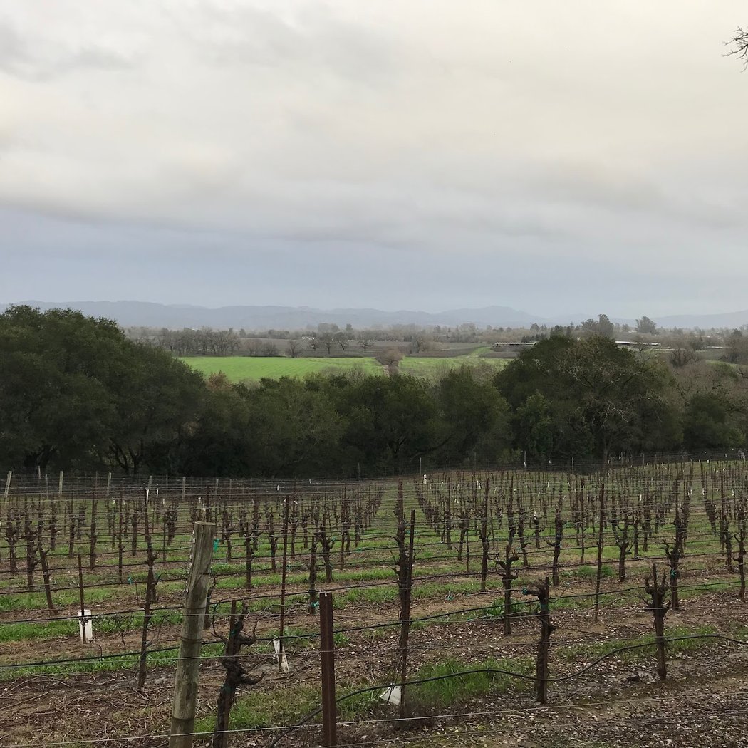 Woodenhead Wines 3