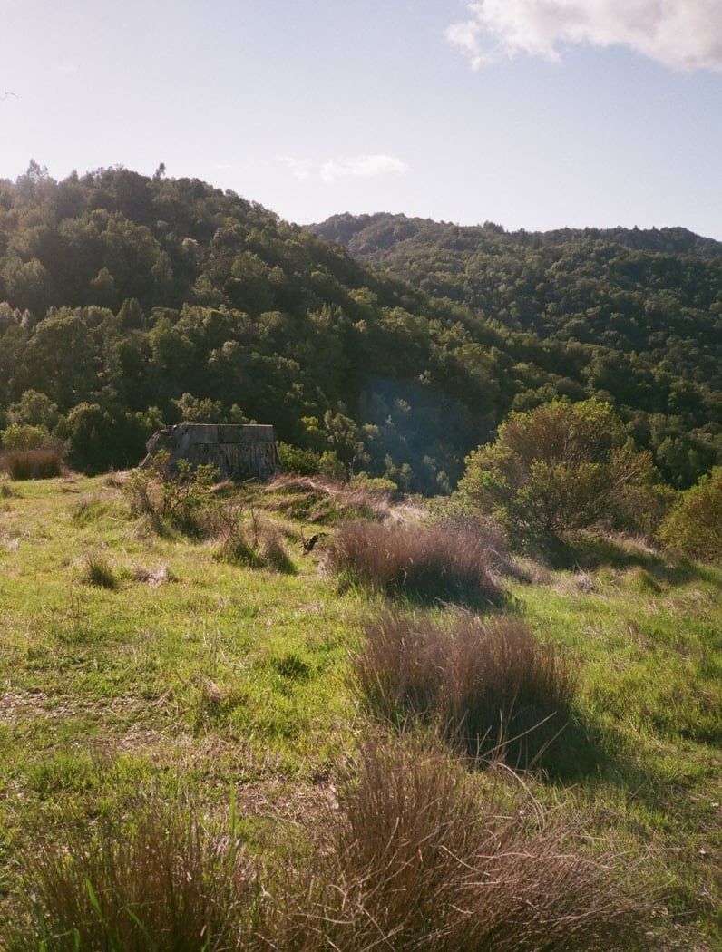 Bay View Trail Head 2