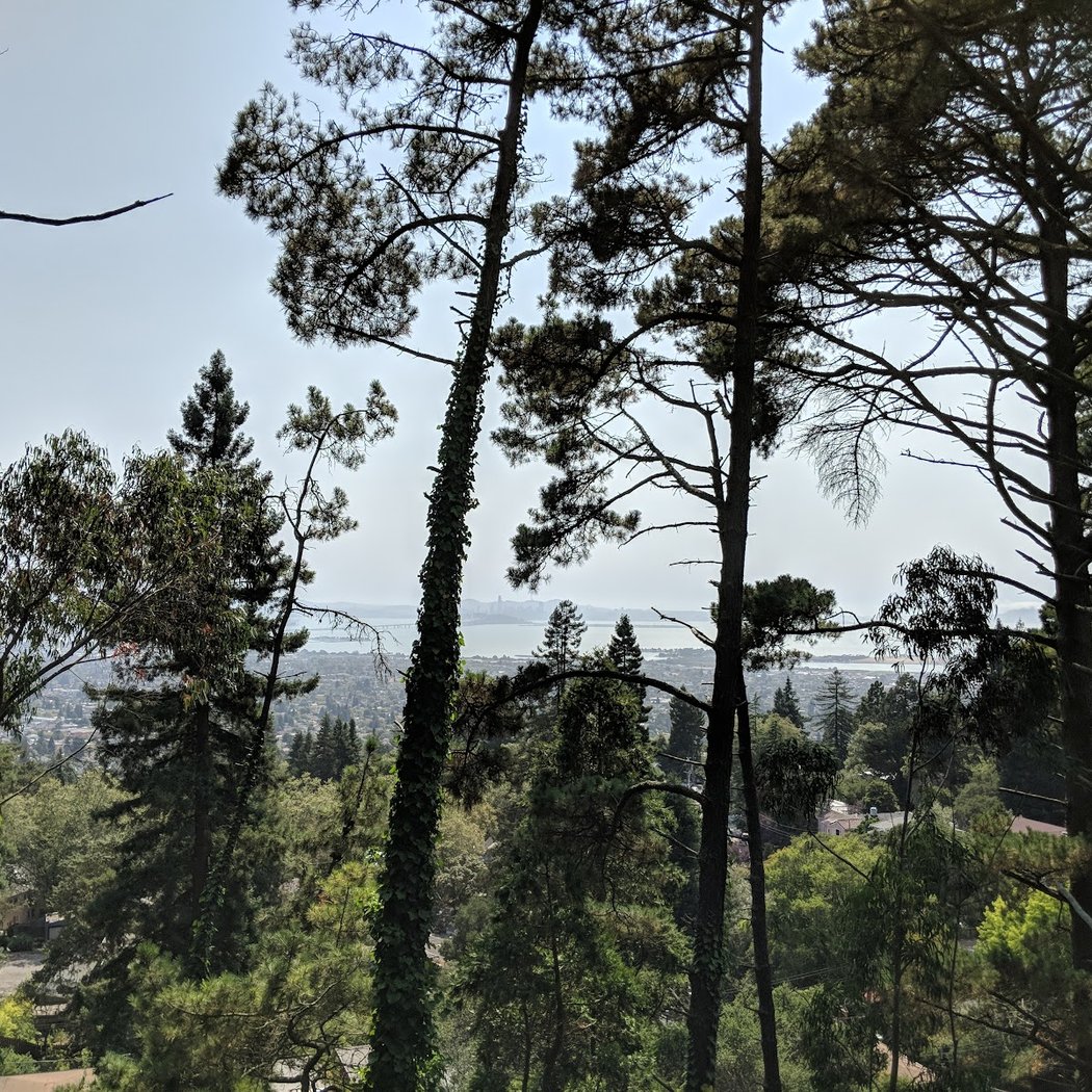 Remillard Park to Grizzly Peak 3