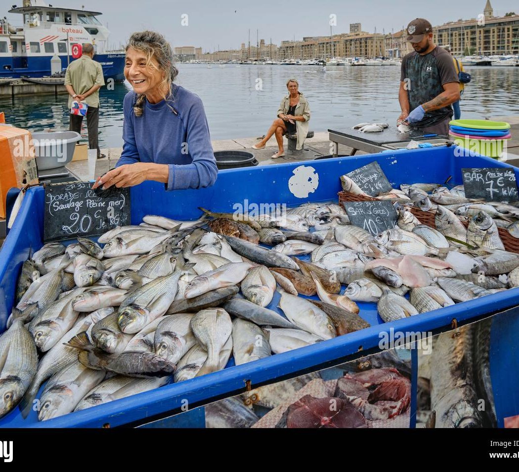 Daily Fish Market 1