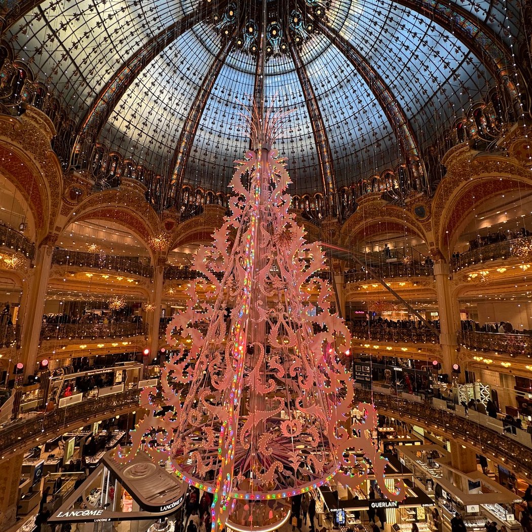 Paris et l’architecture du commerce : des galeries aux grands magasins 3