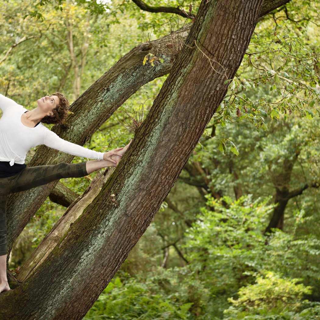 Yoga in the Meadow 2