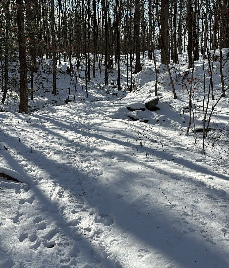 Winnakee Nature Preserve 2