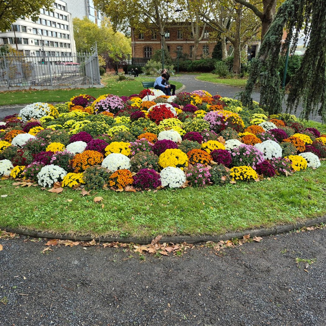 Square Albert-Tournaire 1