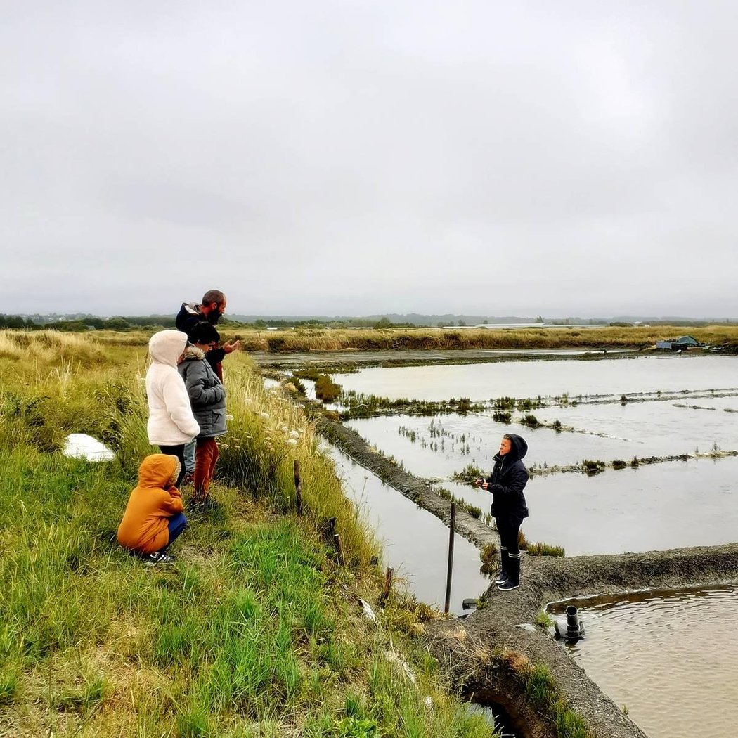 Marais salants de Guérande 3
