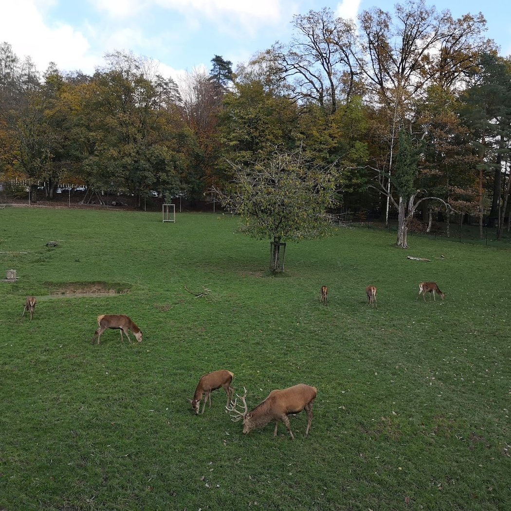 Wildnispark Zürich Langenberg 3