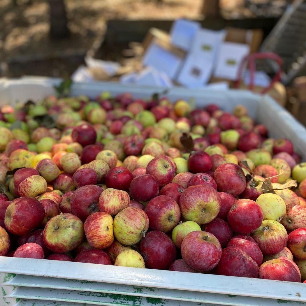 Farm to Pantry 3