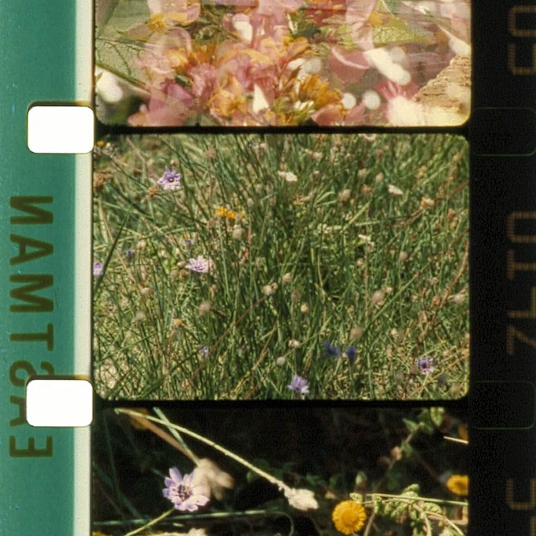 LA SOURCE DE LA LOIRE ET AUTRES FILMS 1