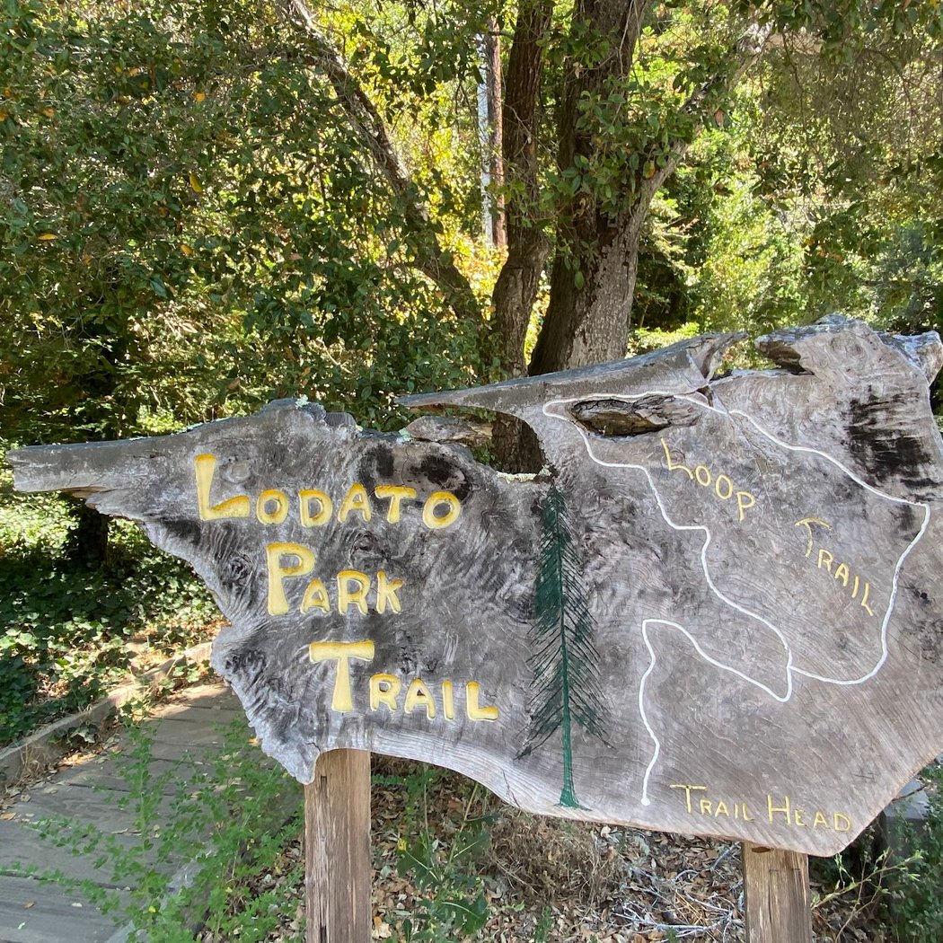 Lodato Park 2