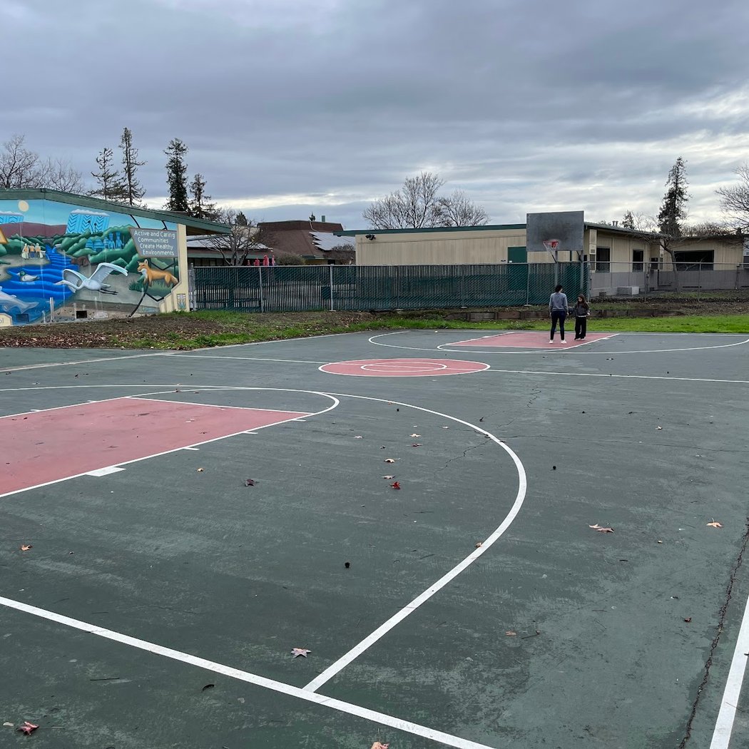 Olinder Park Basketball Court 2