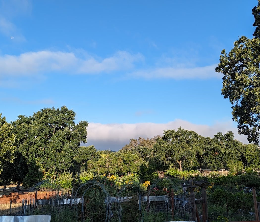 Howe Homestead Park 2