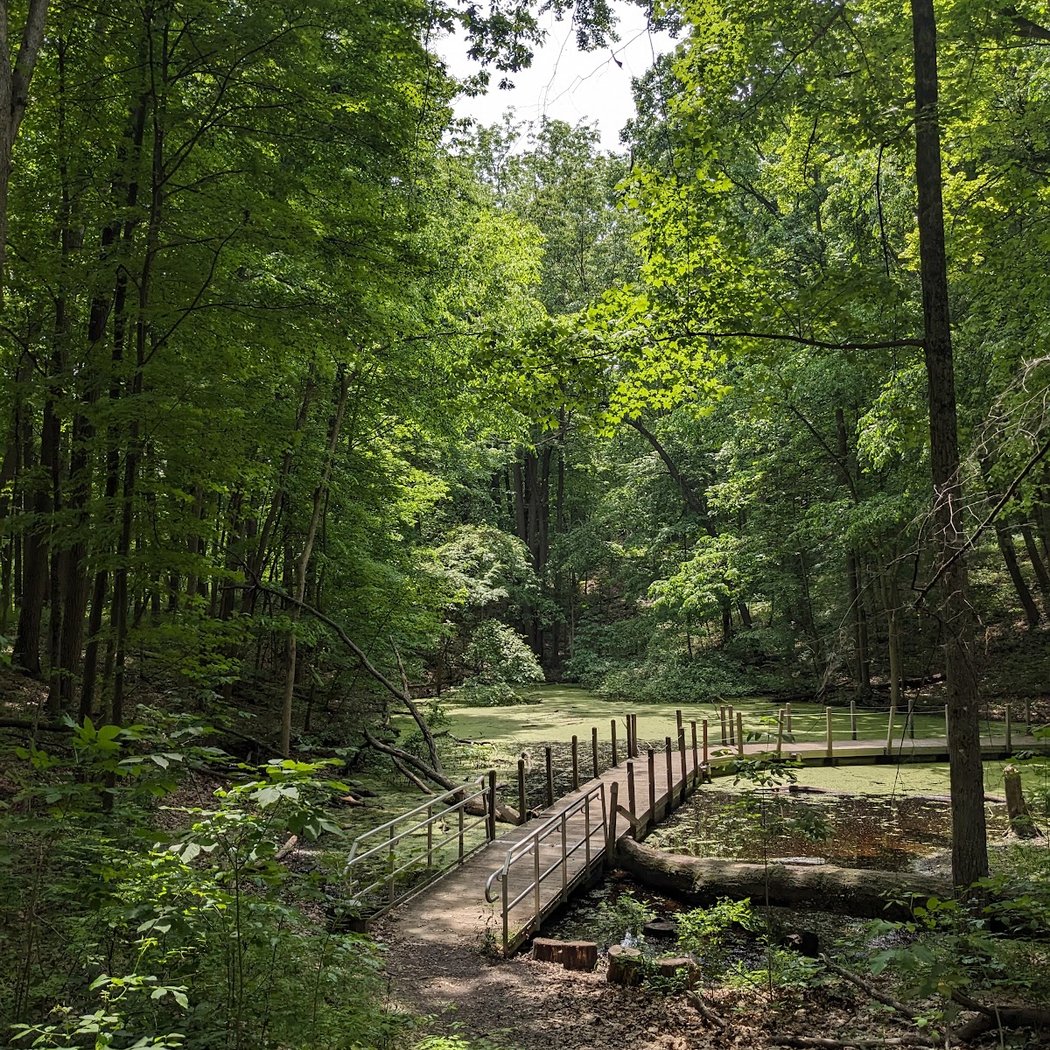 Leslie Park 1