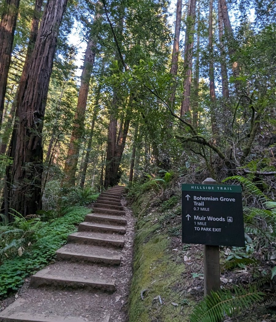 Hillside Trail 2
