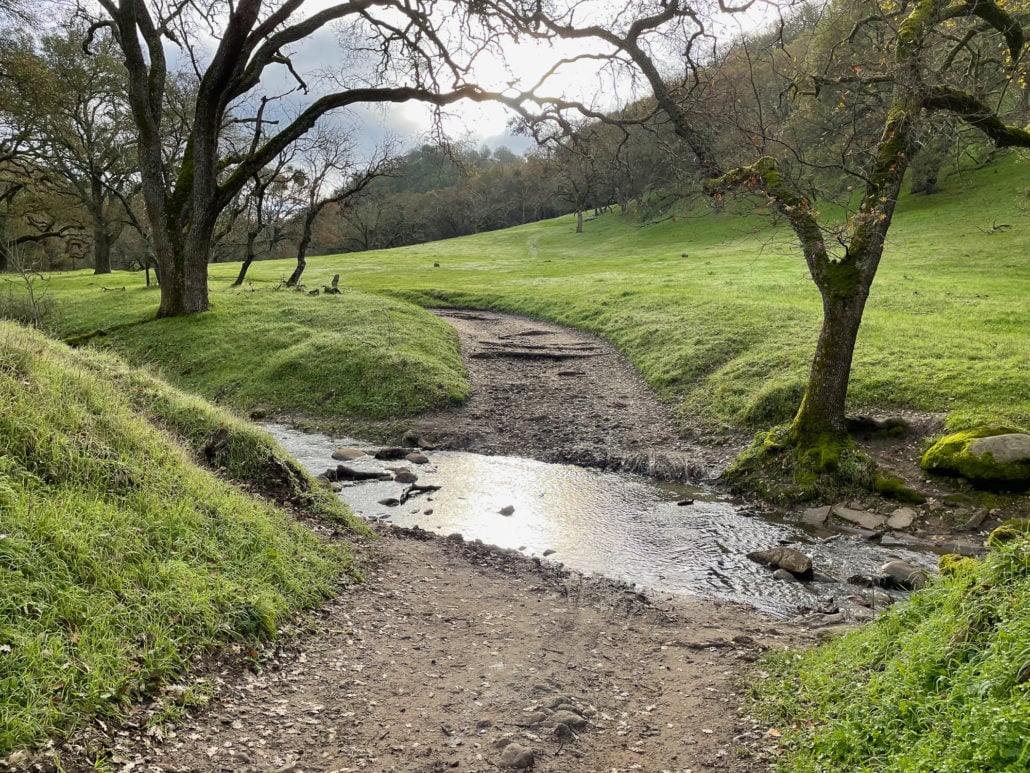Iron Horse Regional Trail, Walnut Creek 2