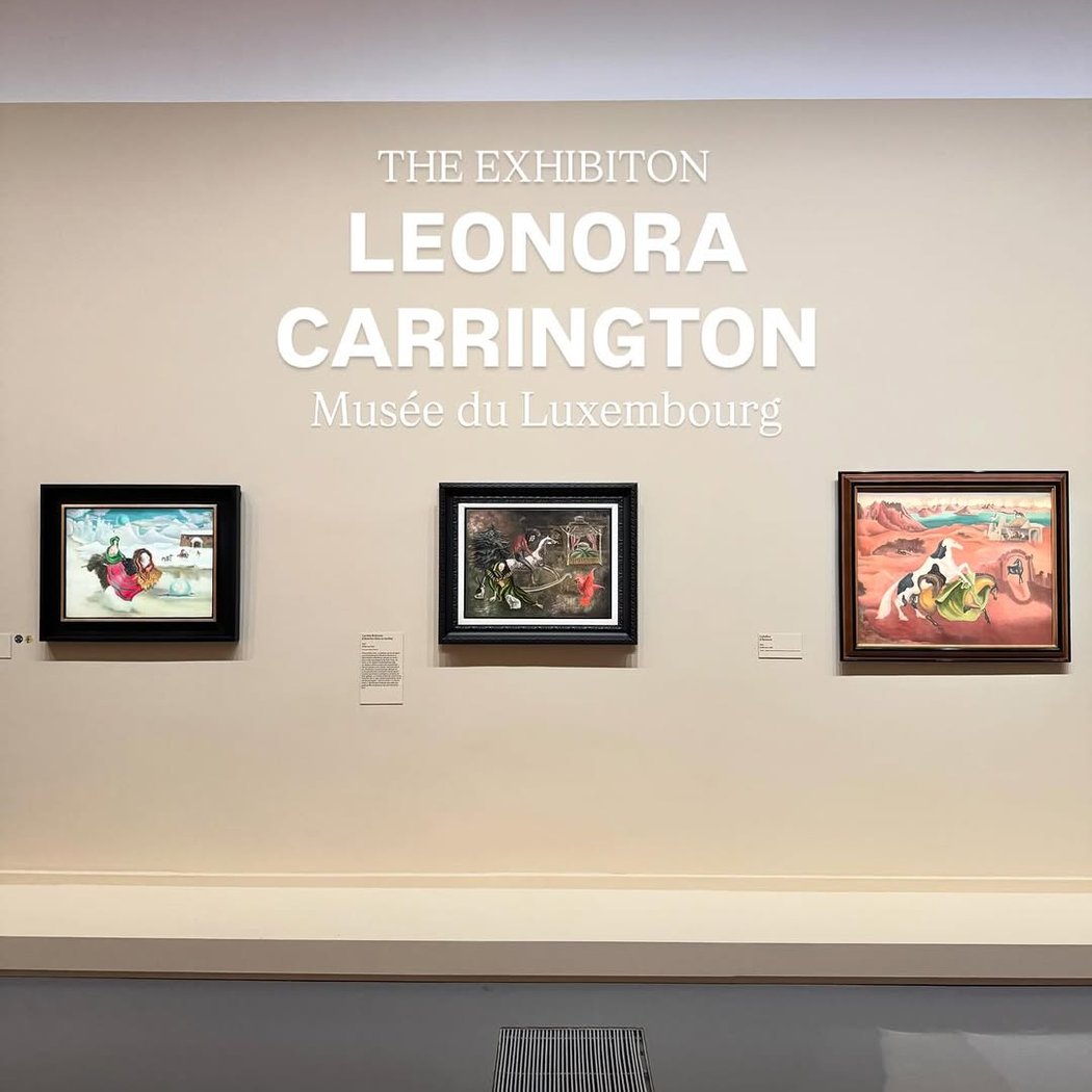 Conférence de présentation de l'expo Leonora Carrington 2