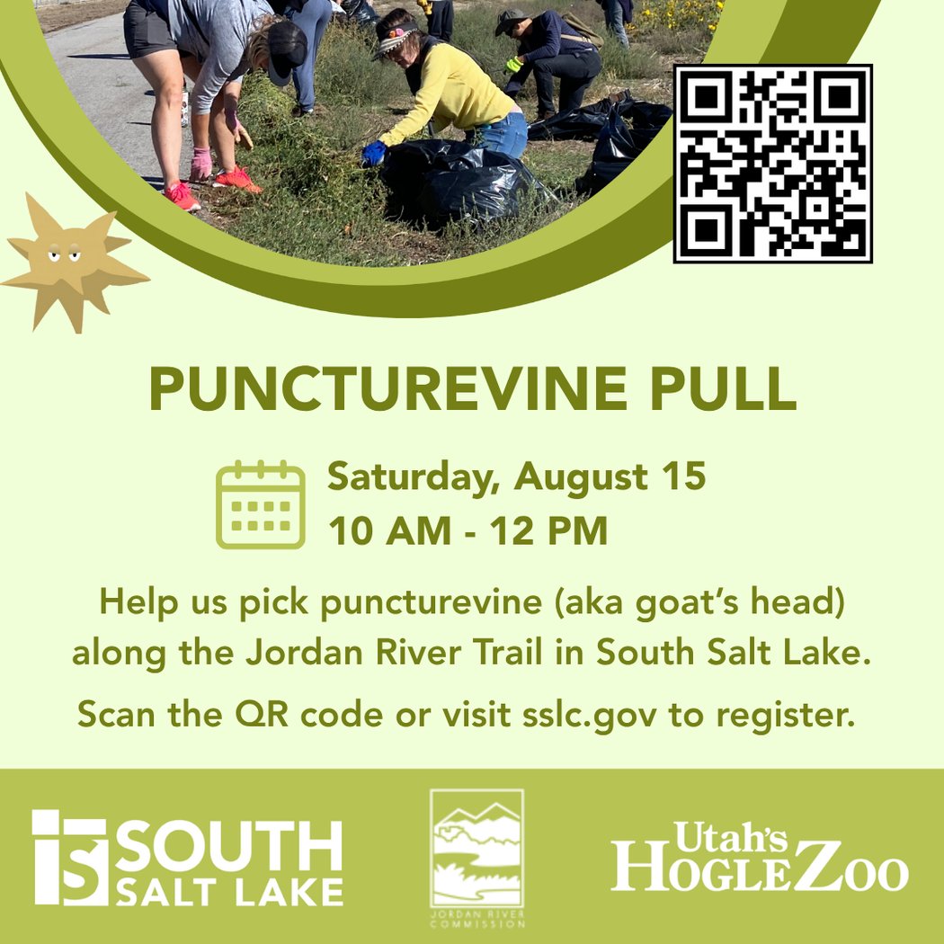 Jordan River Puncturevine Pull 1