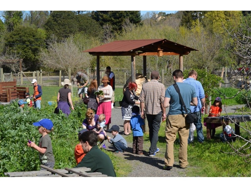 Ranch First Wednesday Open Community Day 2