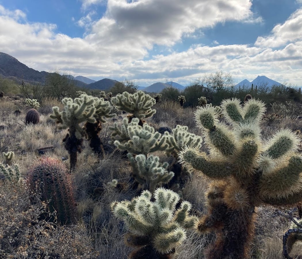 Sunrise Trail Group Hike 2