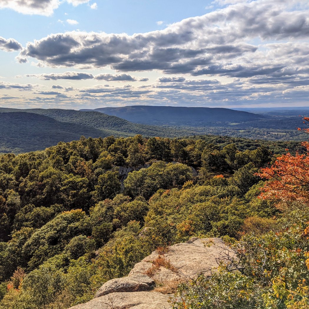 Storm King State Park 3