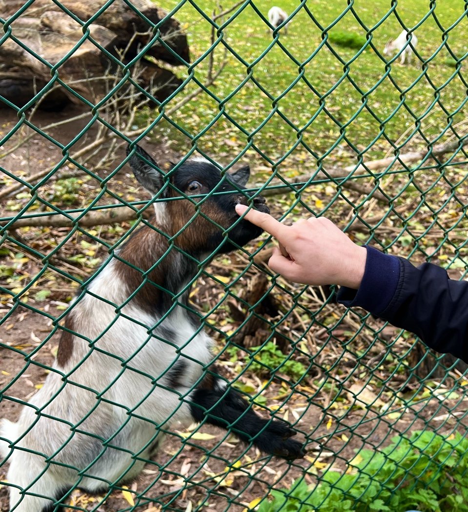 Jardin Animalier 2