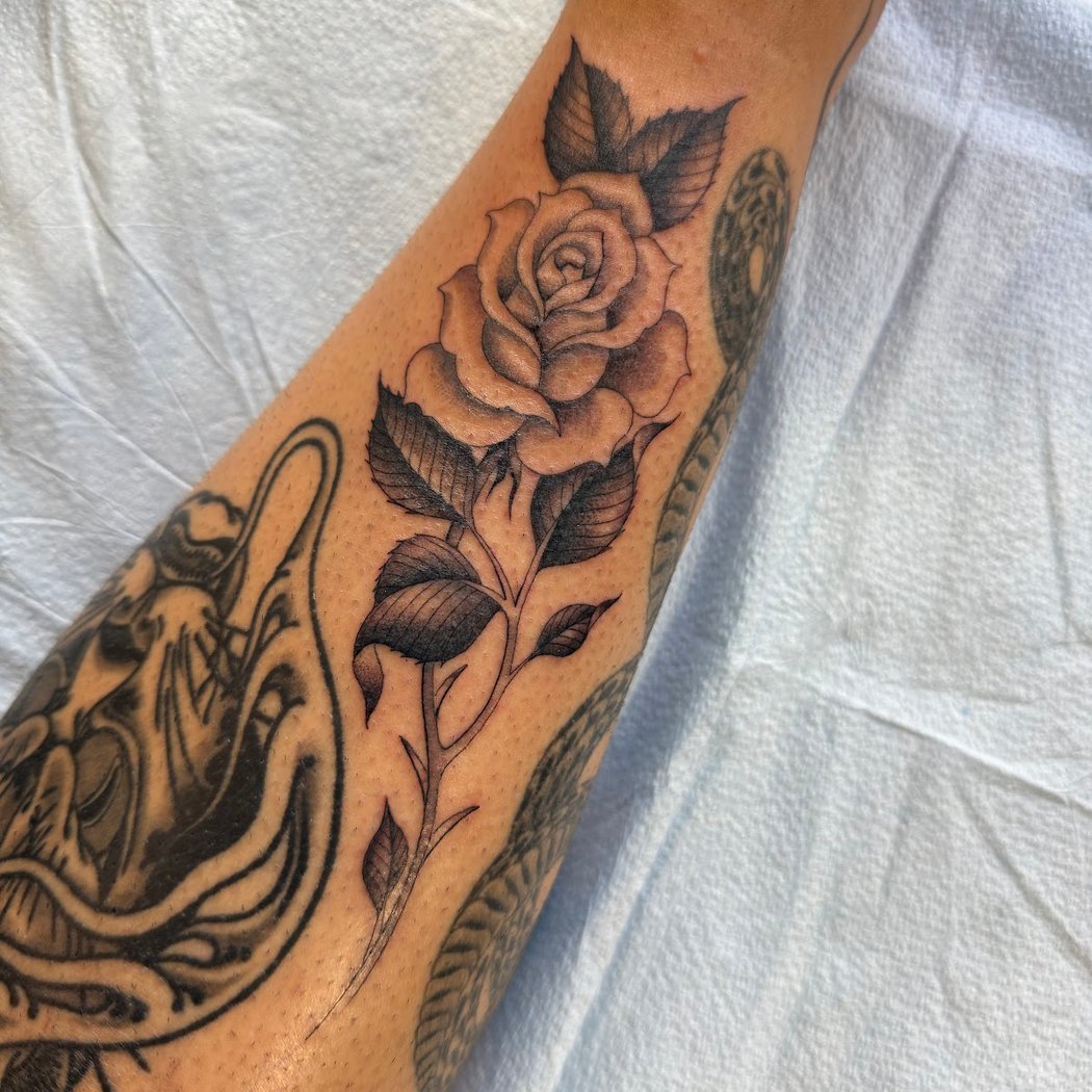 Kings Avenue Tattoo 3