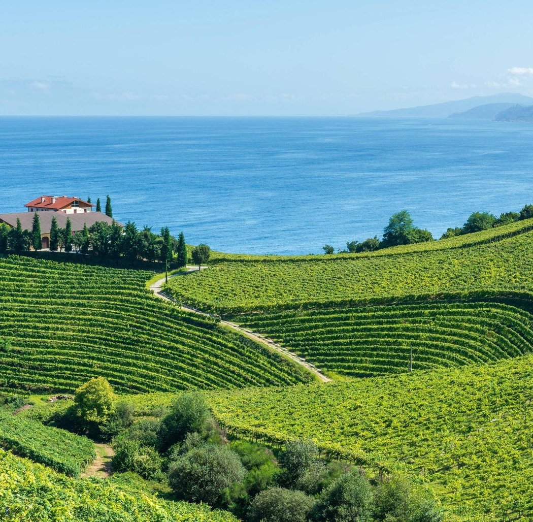 Wine 101: Intro to Spain 1